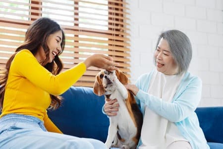 Young woman high-fives a beagle dog while an older woman smiles on a blue couch.