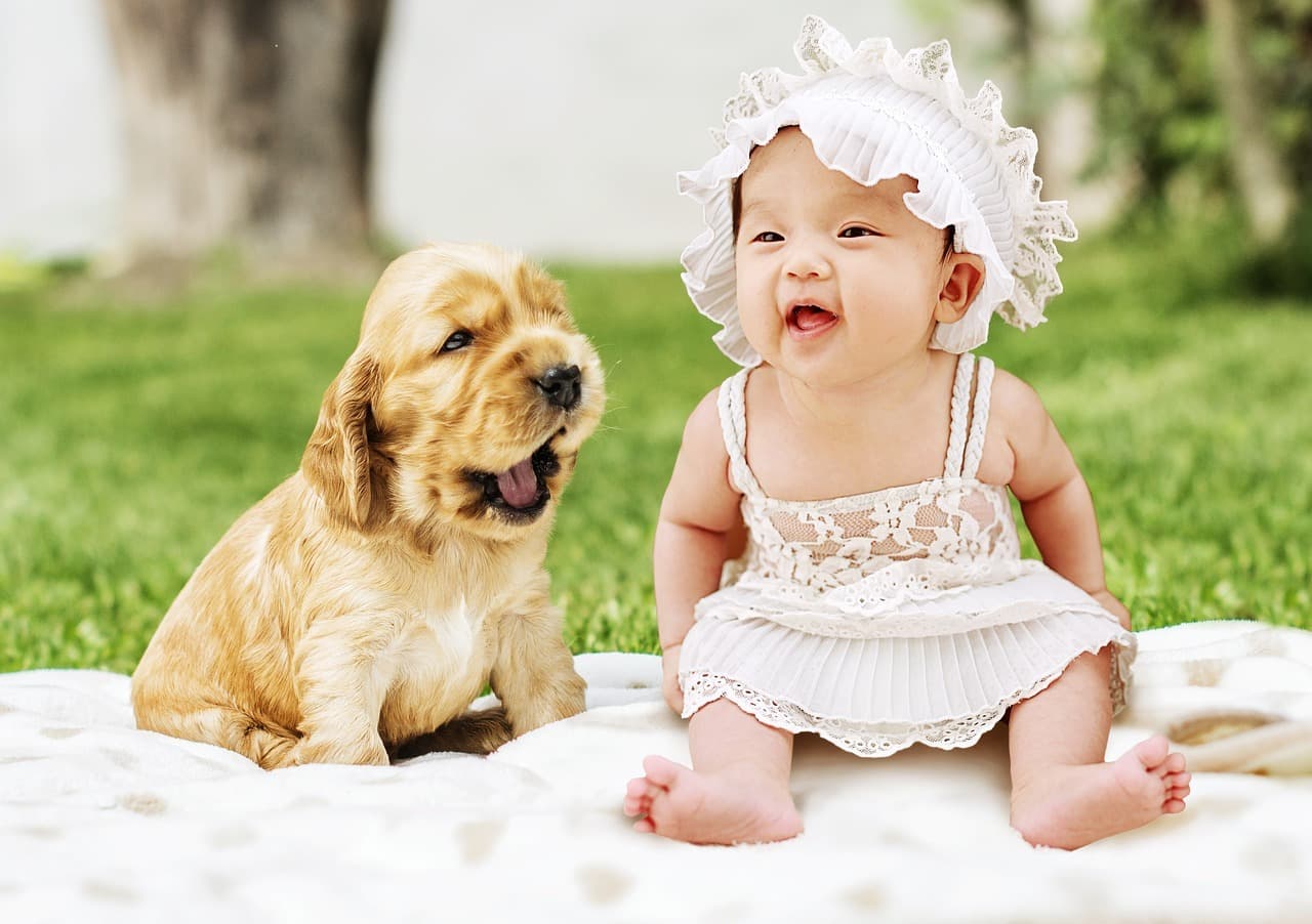 Smiling baby in white lace bonnet sits beside a yawning golden puppy on a blanket.